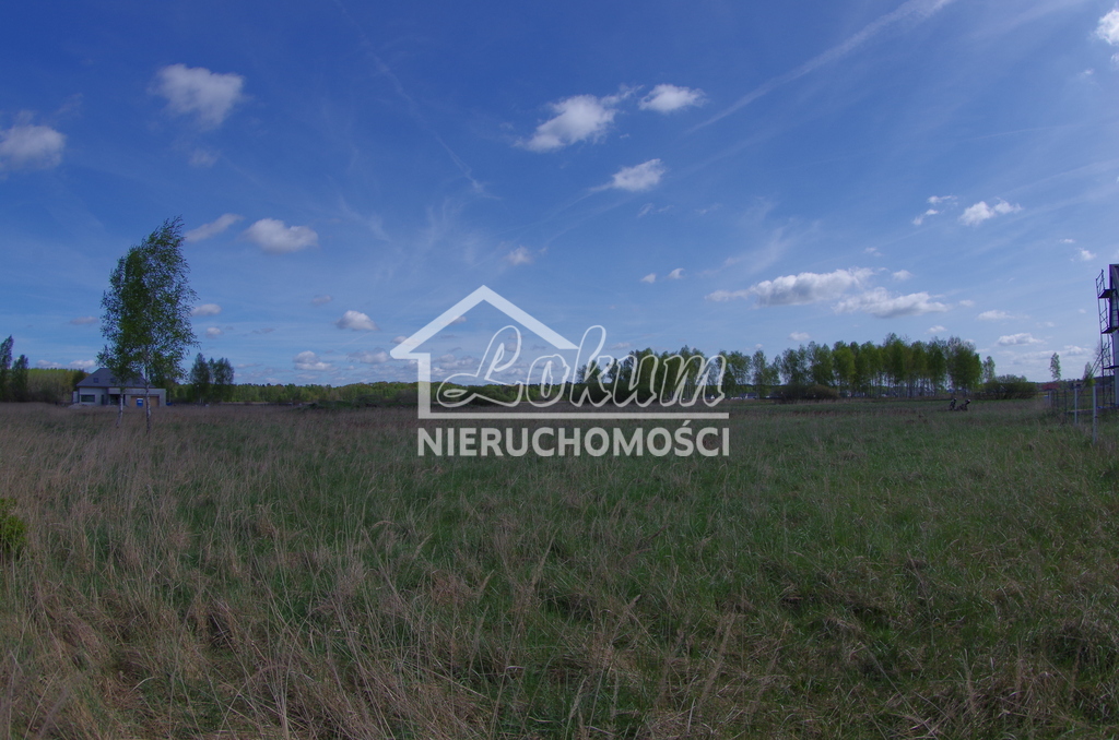 Działka budowlana 2103&nbsp;m², Niedźwiedź - zdjęcie 5