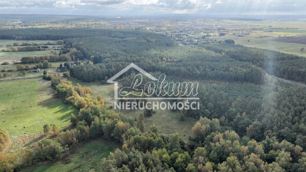Działka budowlana 965&nbsp;m², Dobra, Dereszowa - zdjęcie 5