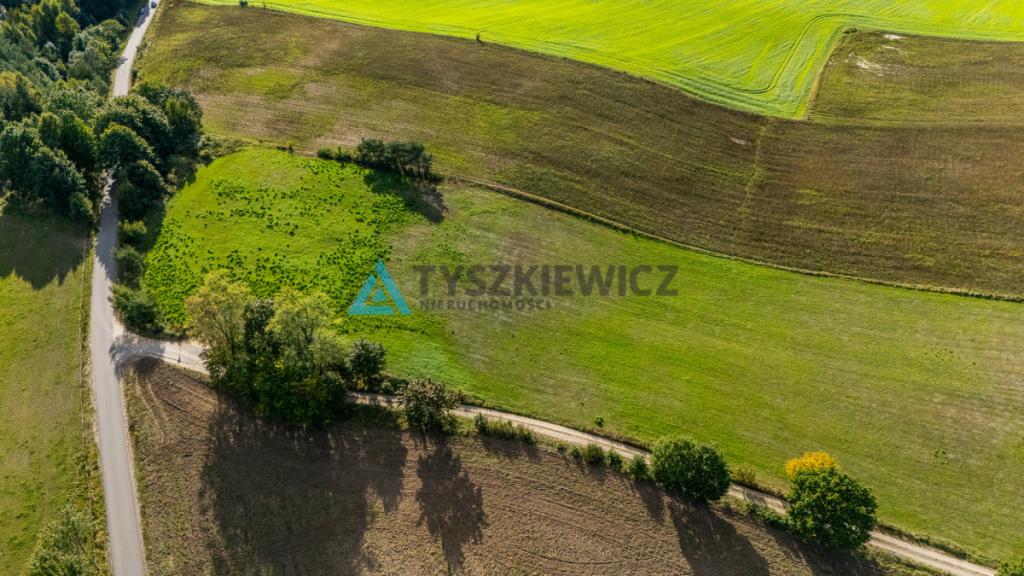 Malowniczo położona działka rolna, okolice J.Jeleń - zdjęcie 9