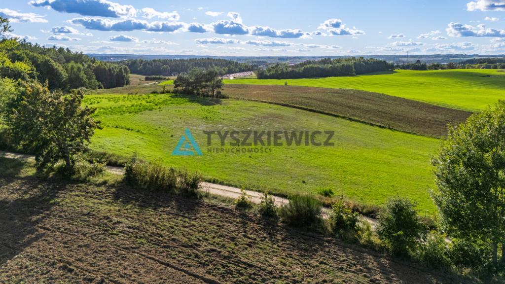 Malowniczo położona działka rolna, okolice J.Jeleń - zdjęcie 2