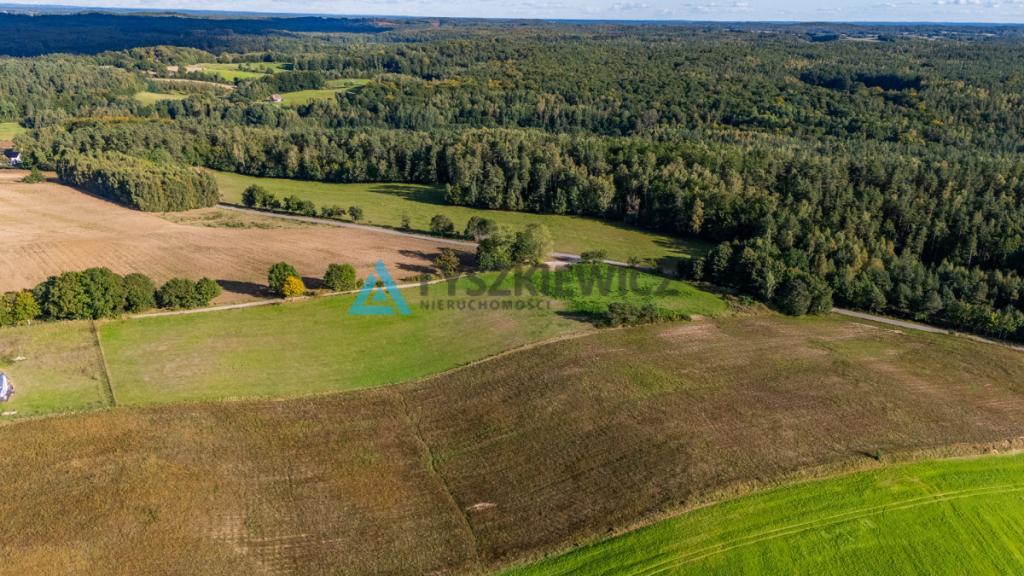 Malowniczo położona działka rolna, okolice J.Jeleń - zdjęcie 10