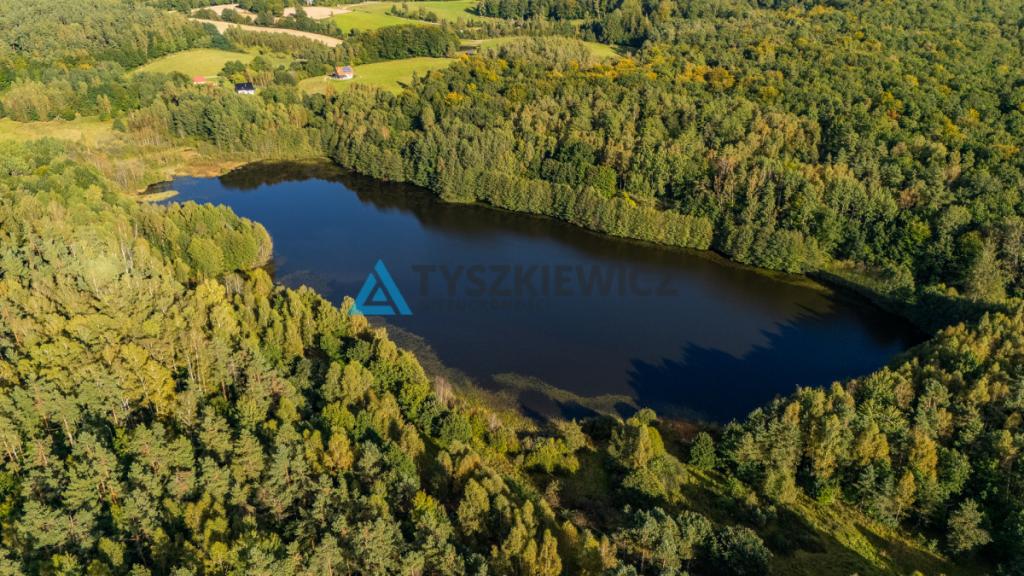 Malowniczo położona działka rolna, okolice J.Jeleń - zdjęcie 16