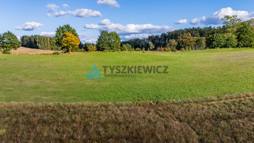 Malowniczo położona działka rolna, okolice J.Jeleń - zdjęcie 20