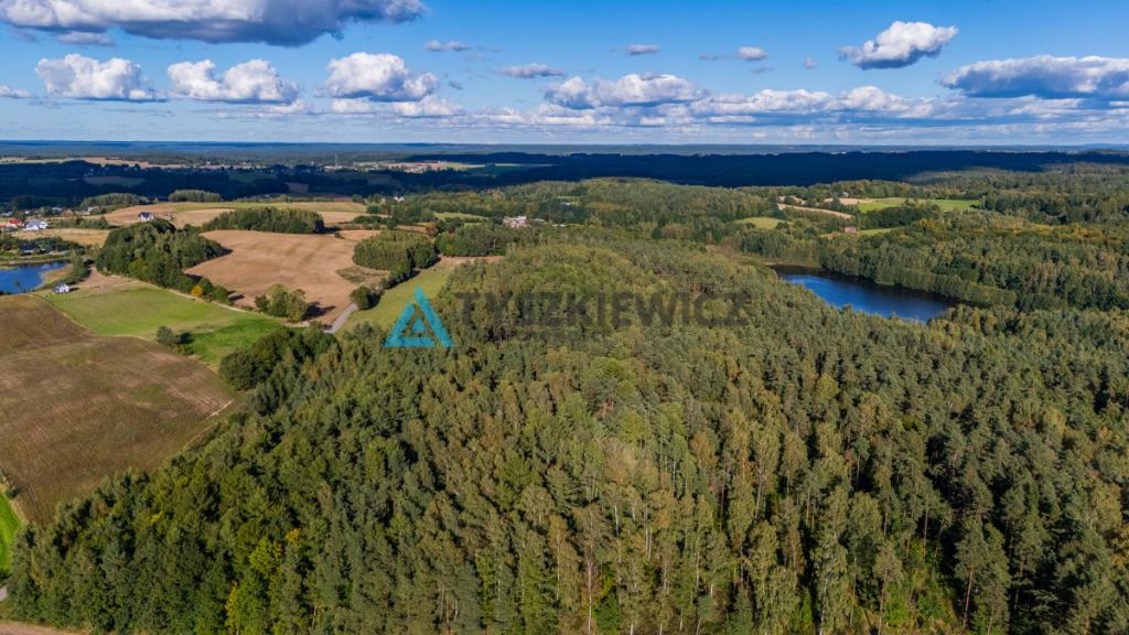 Malowniczo położona działka rolna, okolice J.Jeleń - zdjęcie 18