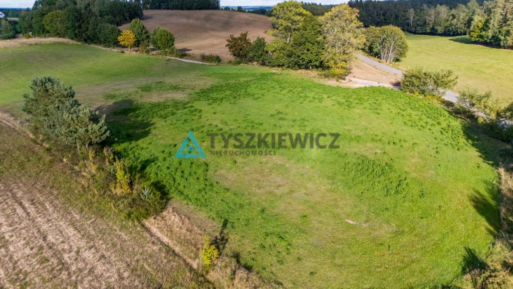 Malowniczo położona działka rolna, okolice J.Jeleń - zdjęcie 21