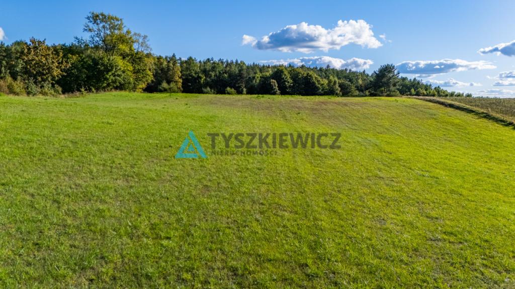 Malowniczo położona działka rolna, okolice J.Jeleń - zdjęcie 8