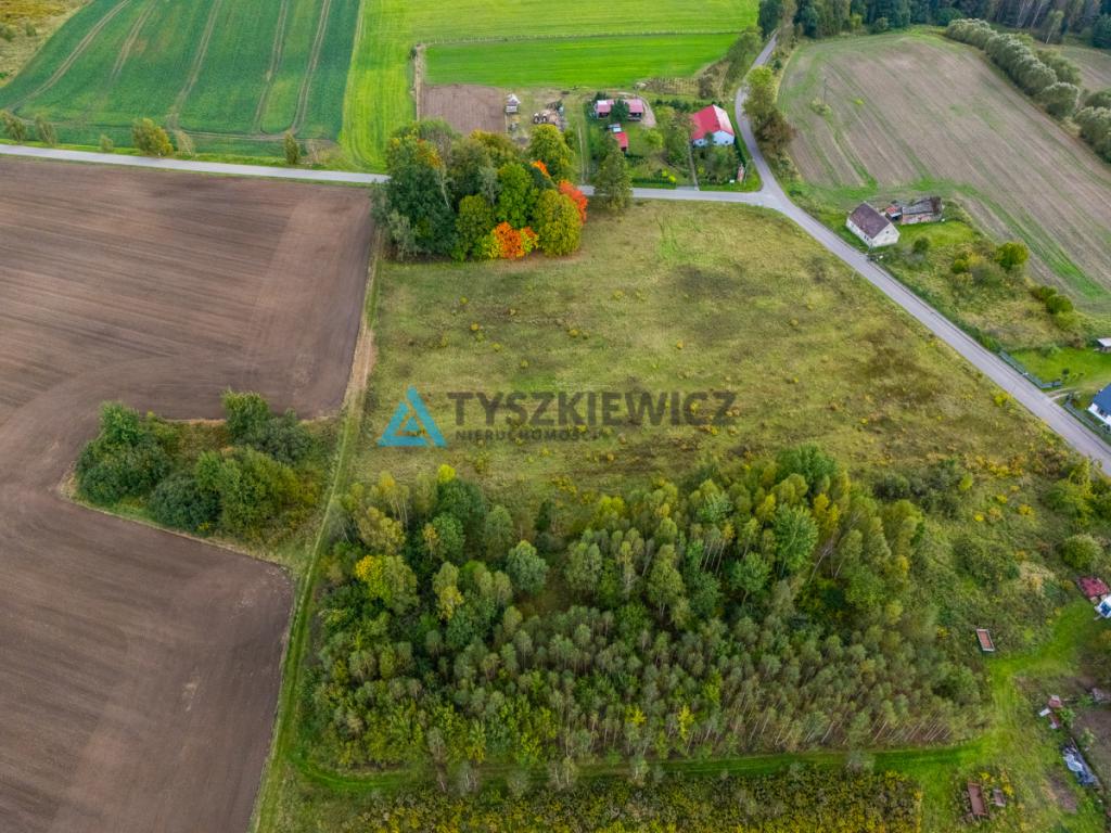 Działka rolna - zdjęcie 5
