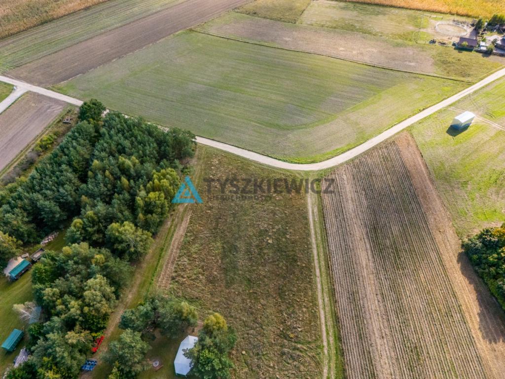 Działka w pobliżu Jeziora Rychnowskiego - zdjęcie 10
