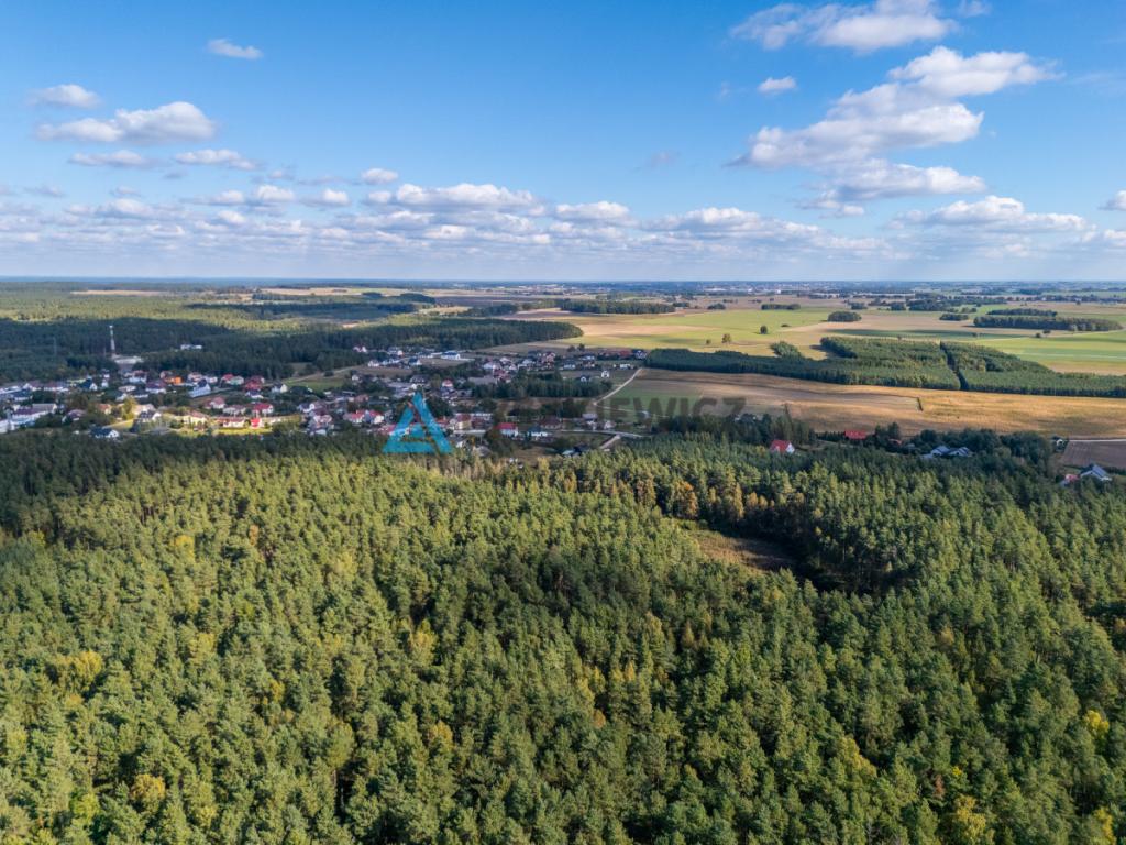 Działka w pobliżu Jeziora Rychnowskiego - zdjęcie 13