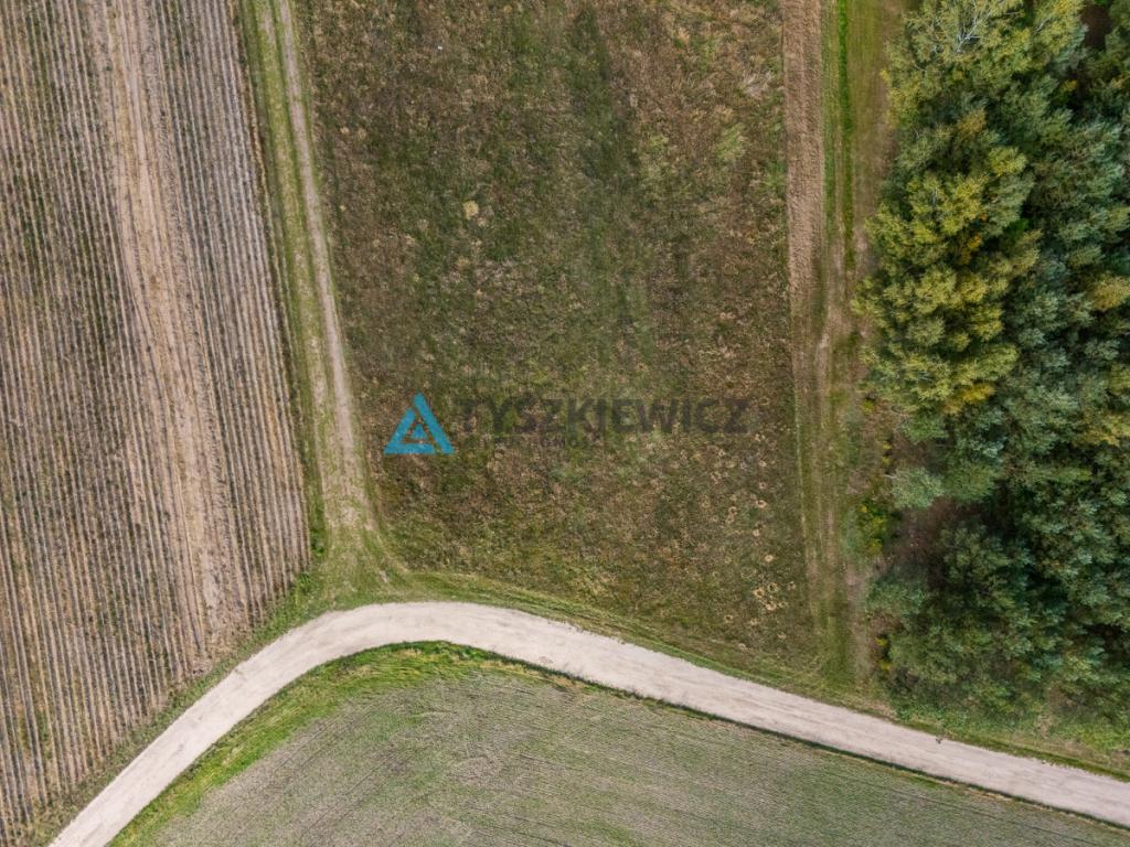 Działka w pobliżu Jeziora Rychnowskiego - zdjęcie 8