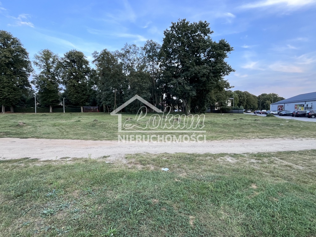 Działka inwestycyjna 3995 m², Moryń - zdjęcie 5