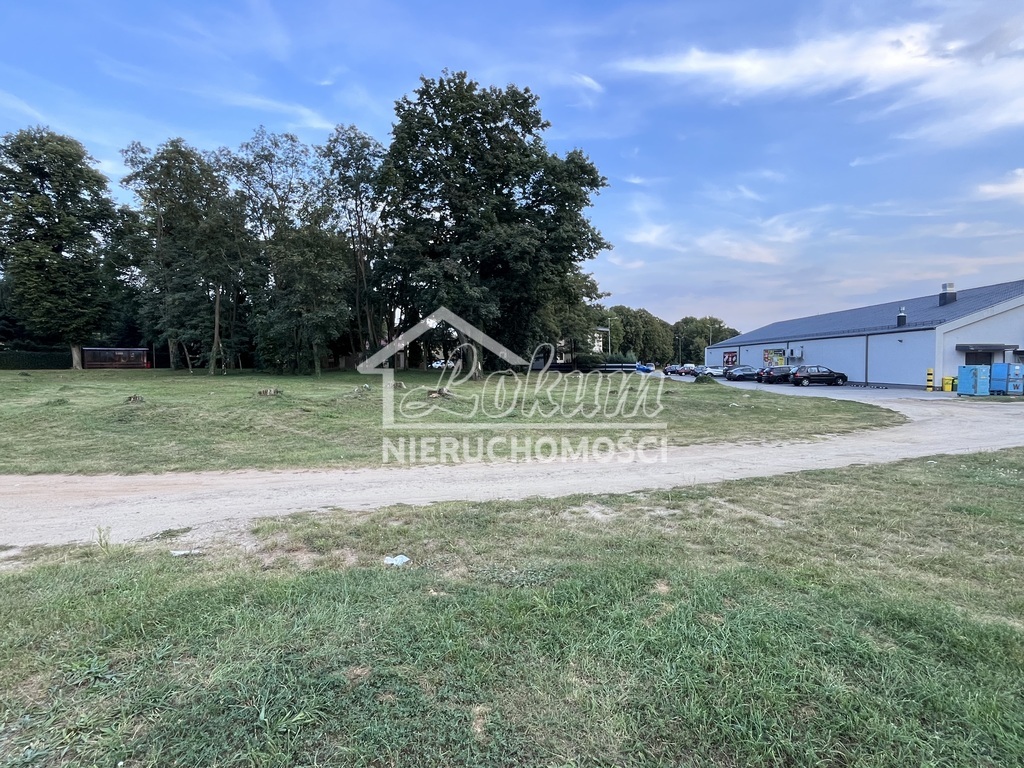 Działka inwestycyjna 3995 m², Moryń - zdjęcie 1