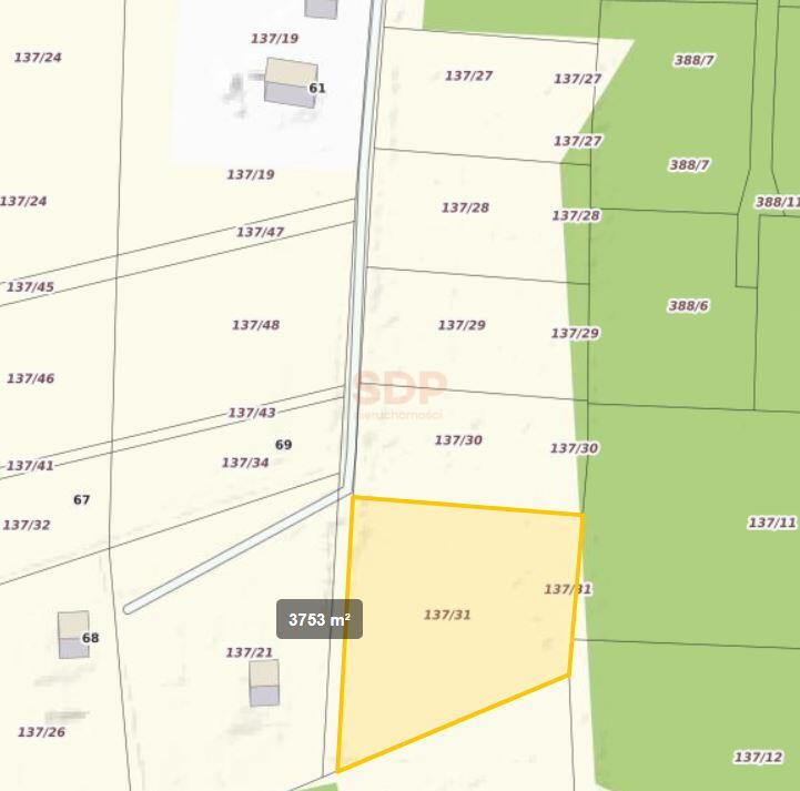 Działka budowlana 3753 m², Nowa Wieś - zdjęcie 5