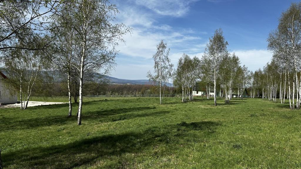 Działka budowlana 3753 m², Nowa Wieś - zdjęcie 2