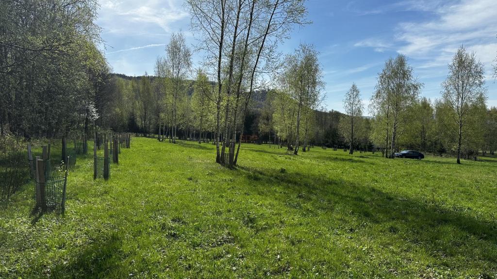 Działka budowlana 3753 m², Nowa Wieś - zdjęcie 3