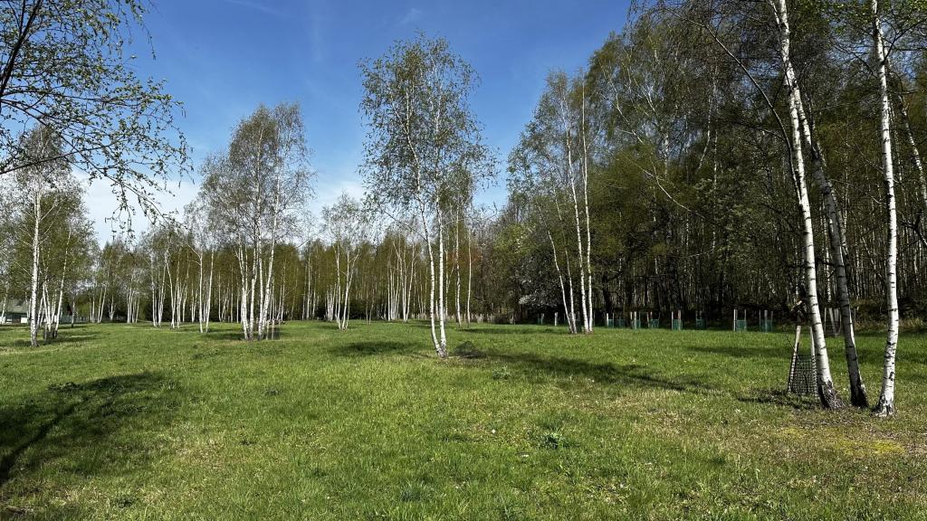 Działka budowlana 3753 m², Nowa Wieś - zdjęcie 1