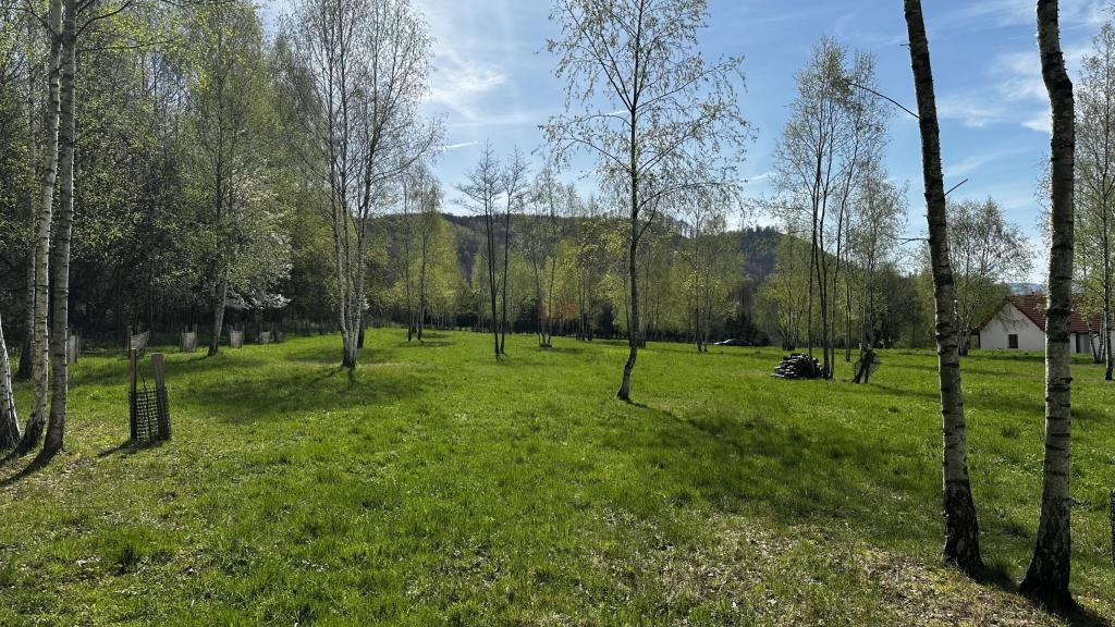 Działka rekreacyjna 1991 m², Nowa Wieś - zdjęcie 4