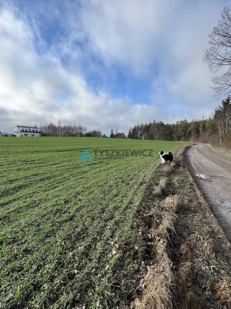Działka bud. przy ścianie lasu w Wielkim Kliczu - zdjęcie 3