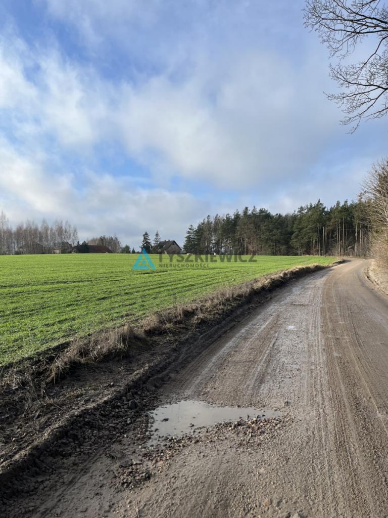 Działka bud. przy ścianie lasu w Wielkim Kliczu - zdjęcie 6