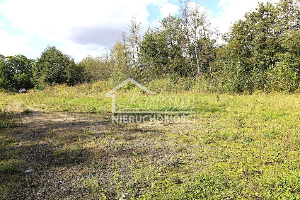 Działka budowlana 3012&nbsp;m², Choszczno - zdjęcie 2