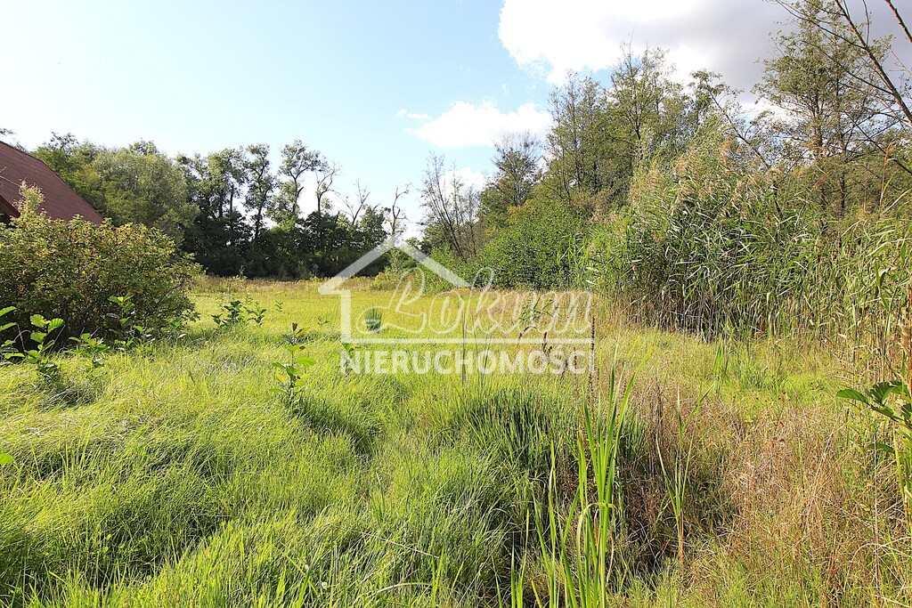 Działka budowlana 3012&nbsp;m², Choszczno - zdjęcie 4