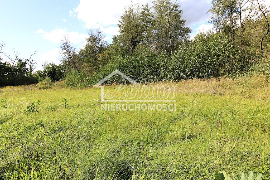 Działka budowlana 3012&nbsp;m², Choszczno - zdjęcie 3