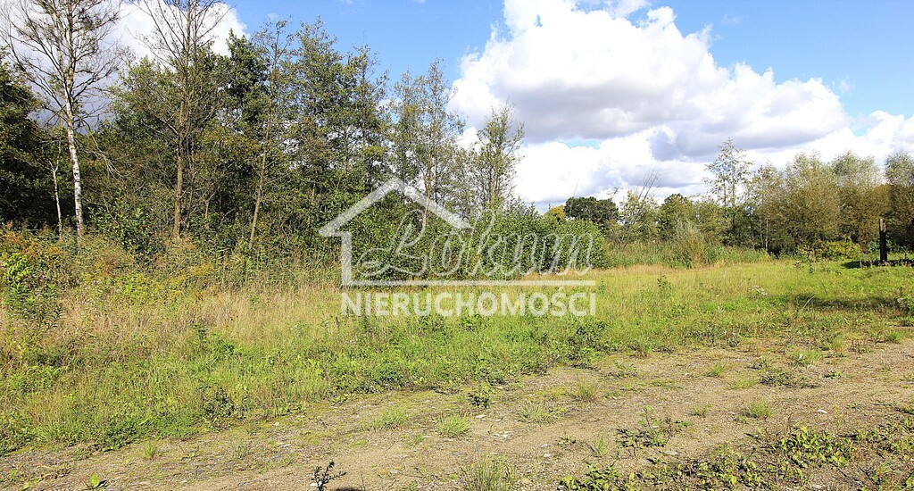 Działka budowlana 3012&nbsp;m², Choszczno - zdjęcie 1