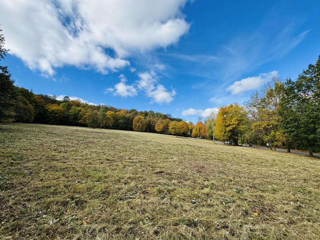 Działka inwestycyjna 1,80 ha, Sobótka, Armii Krajowej - zdjęcie 10