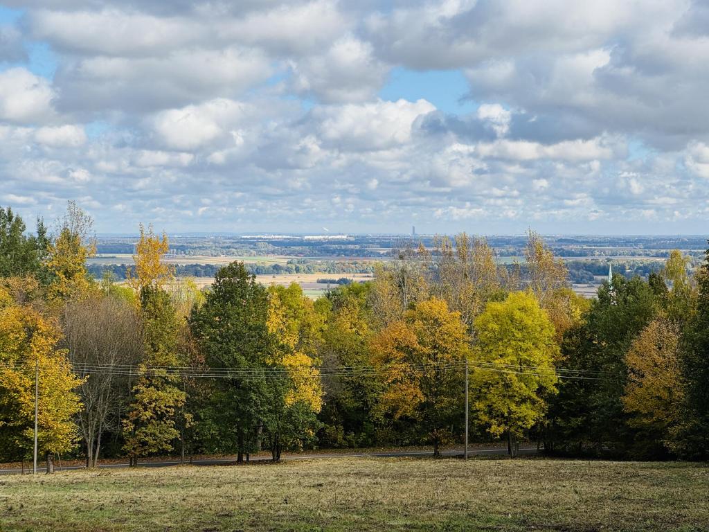 Działka inwestycyjna 1,80 ha, Sobótka, Armii Krajowej - zdjęcie 1