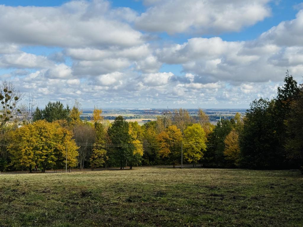 Działka inwestycyjna 1,80 ha, Sobótka, Armii Krajowej - zdjęcie 7