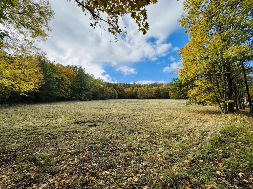 Działka inwestycyjna 1,80 ha, Sobótka, Armii Krajowej - zdjęcie 9