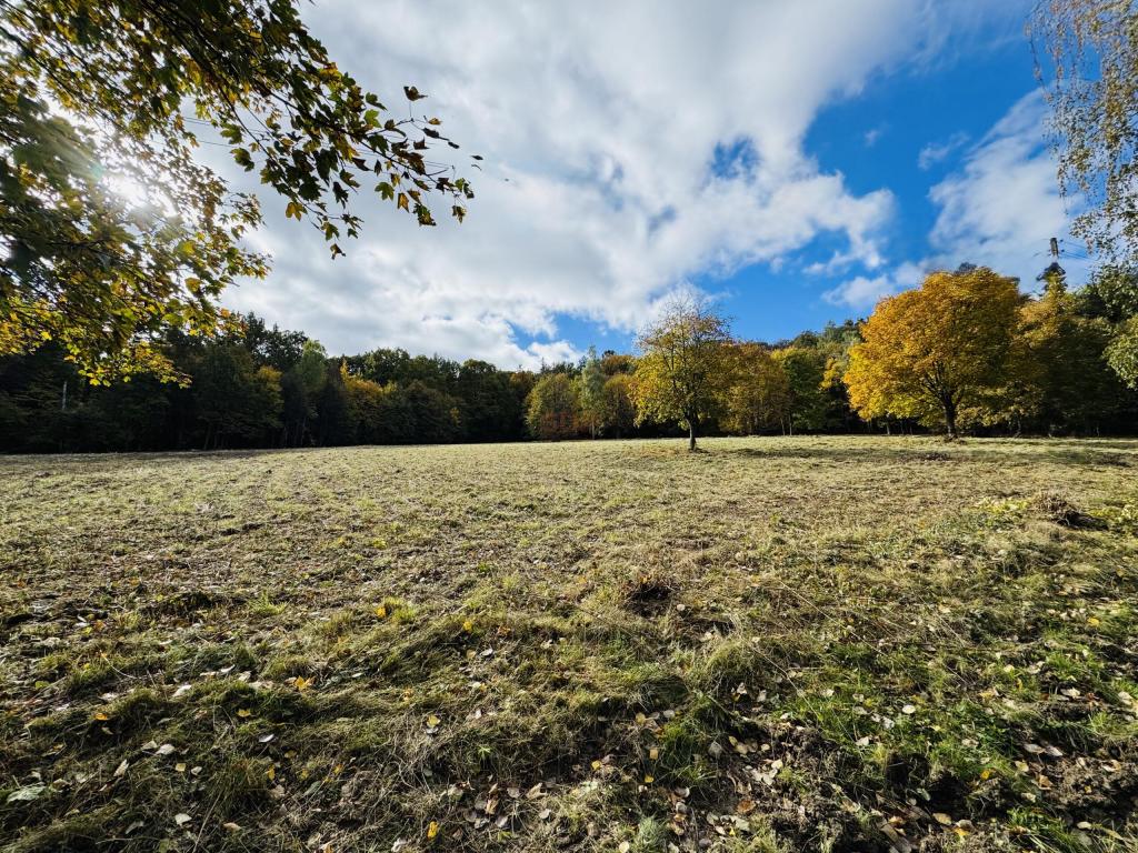 Działka inwestycyjna 1,80 ha, Sobótka, Armii Krajowej - zdjęcie 8