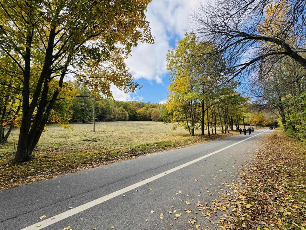 Działka inwestycyjna 1,80 ha, Sobótka, Armii Krajowej - zdjęcie 11