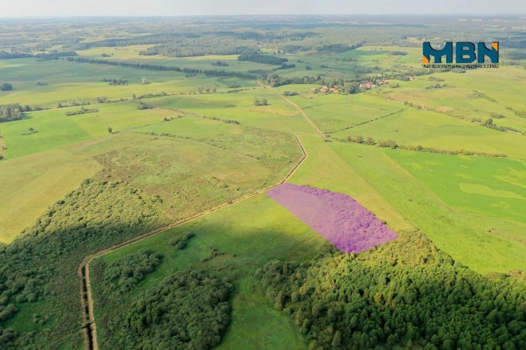 Działka rolna 6300&nbsp;m², Tuchlin - zdjęcie 7