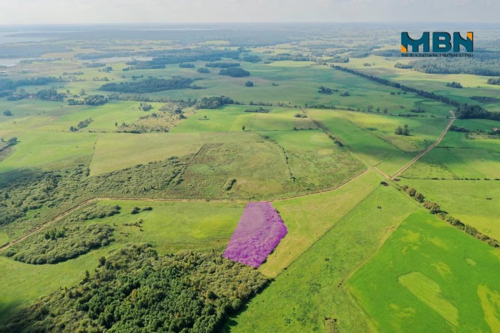 Działka rolna 6300&nbsp;m², Tuchlin - zdjęcie 6