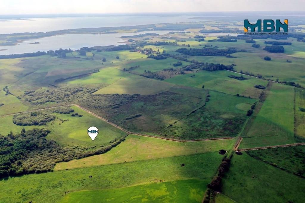 Działka rolna 6300&nbsp;m², Tuchlin - zdjęcie 4
