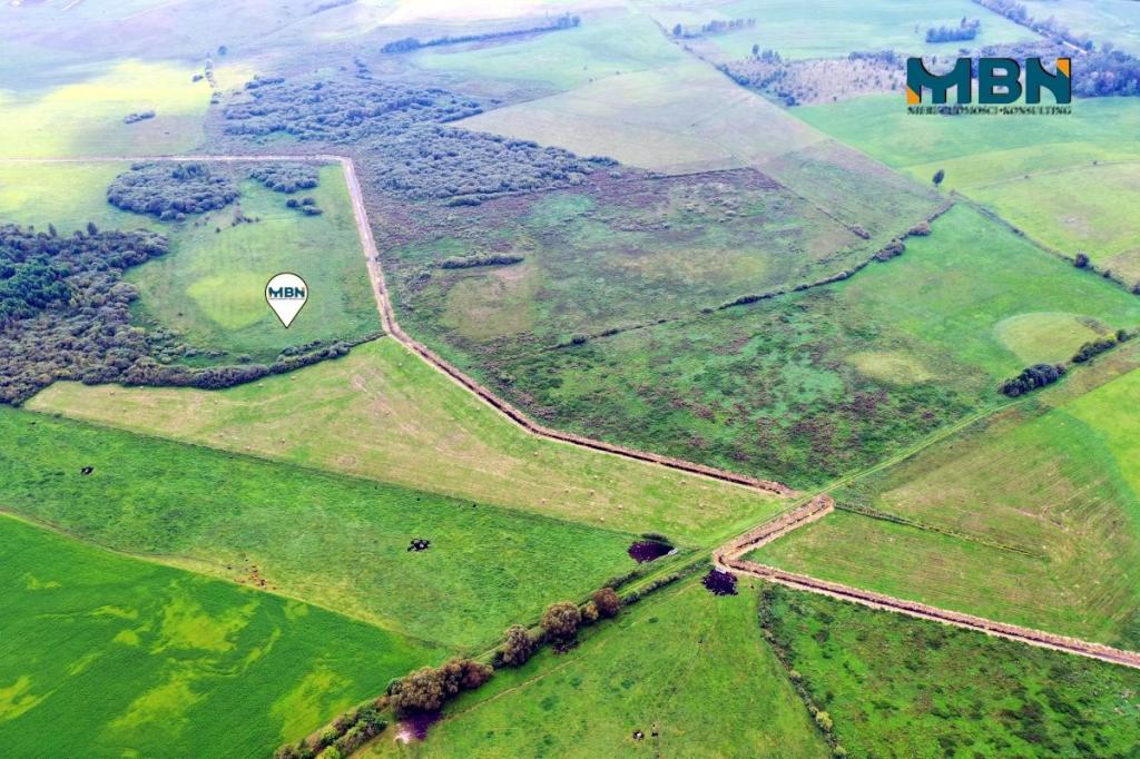 Działka rolna 6300&nbsp;m², Tuchlin - zdjęcie 3