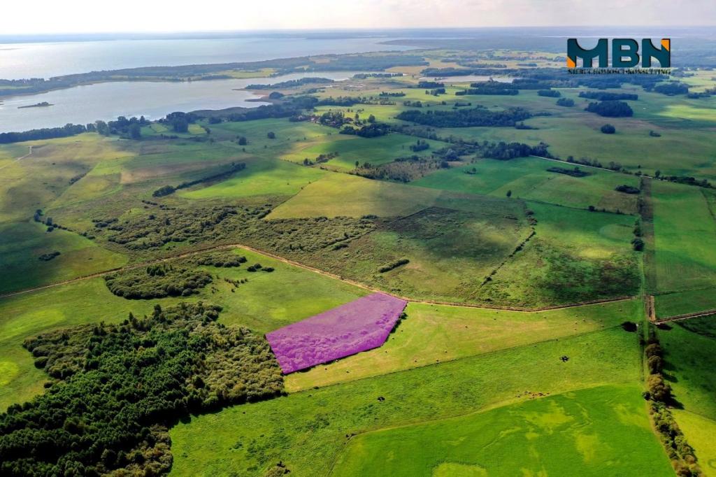 Działka rolna 6300&nbsp;m², Tuchlin - zdjęcie 5