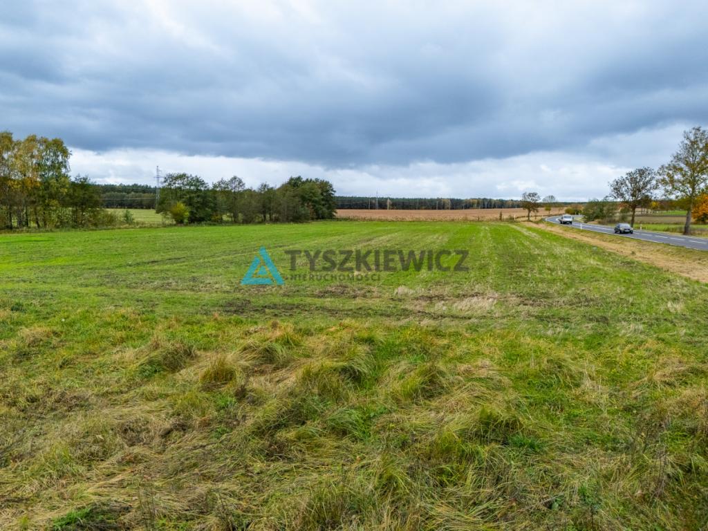 Działka przy DK25/ stacja paliw, handel, gastronom - zdjęcie 19