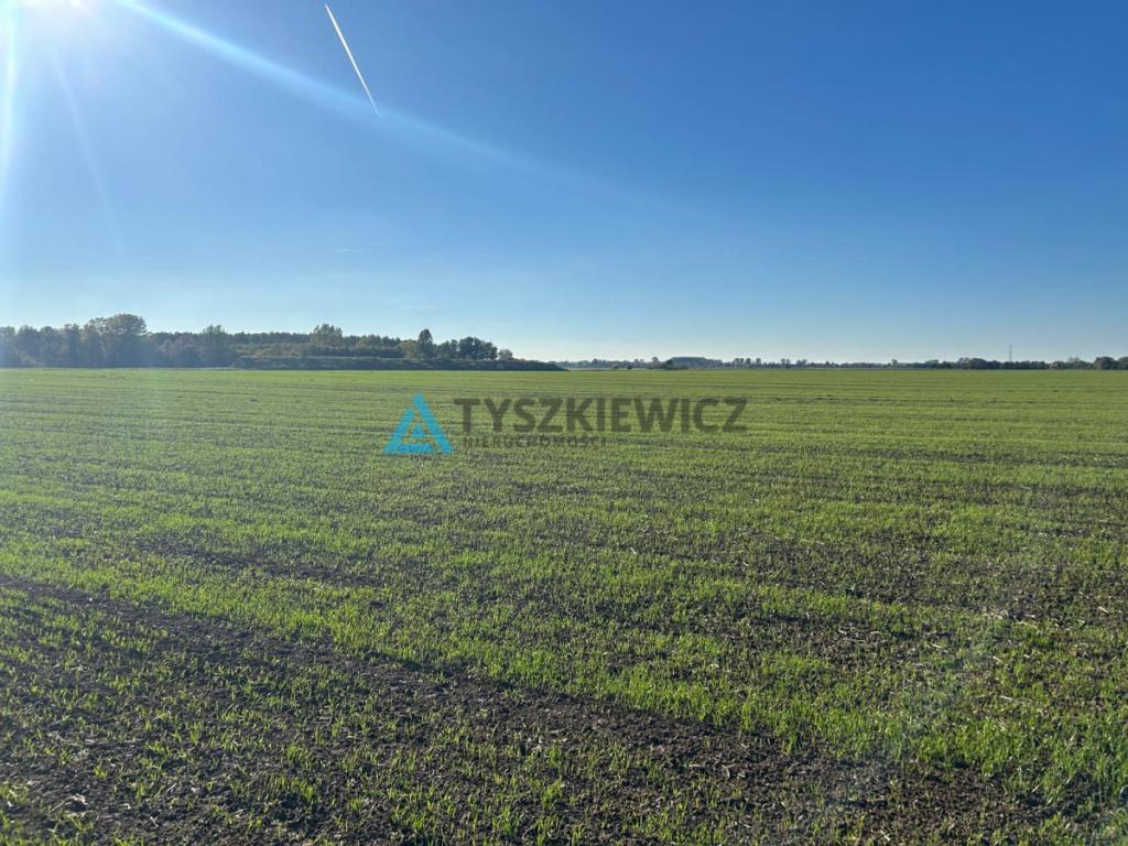 Piękna działka koło rzeki Szkarpawa - zdjęcie 8