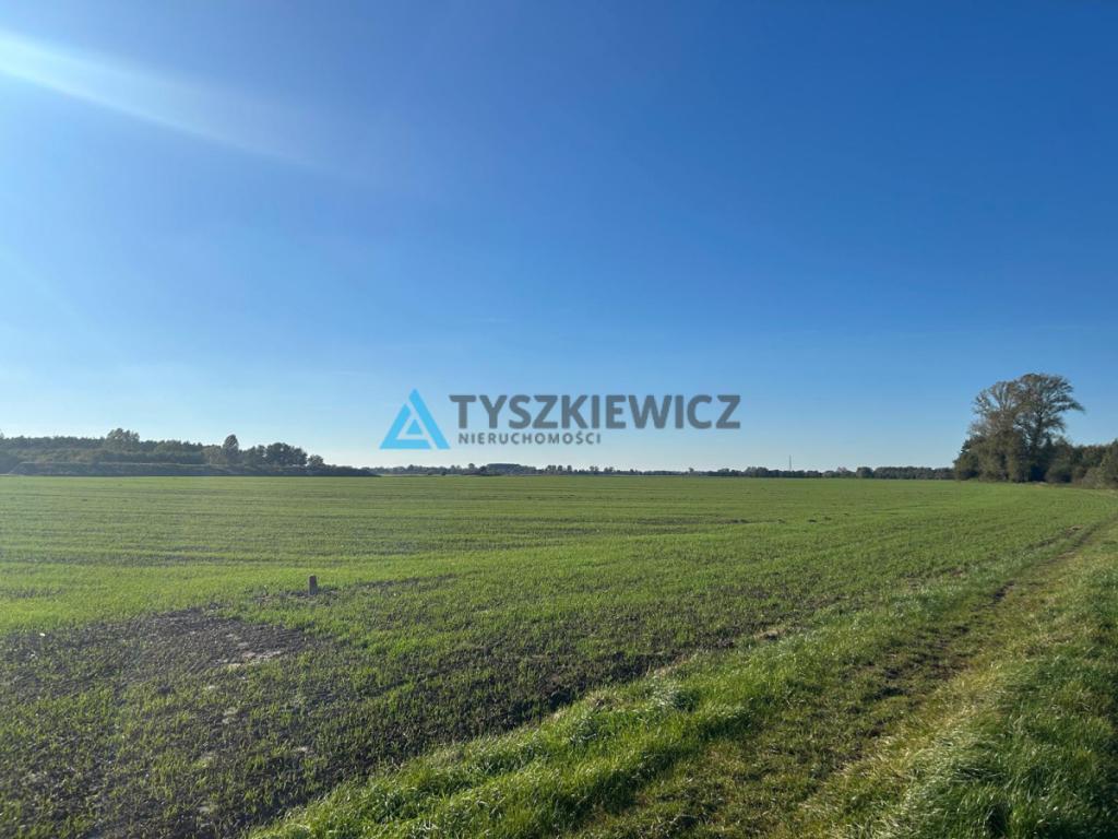 Piękna działka koło rzeki Szkarpawa - zdjęcie 7