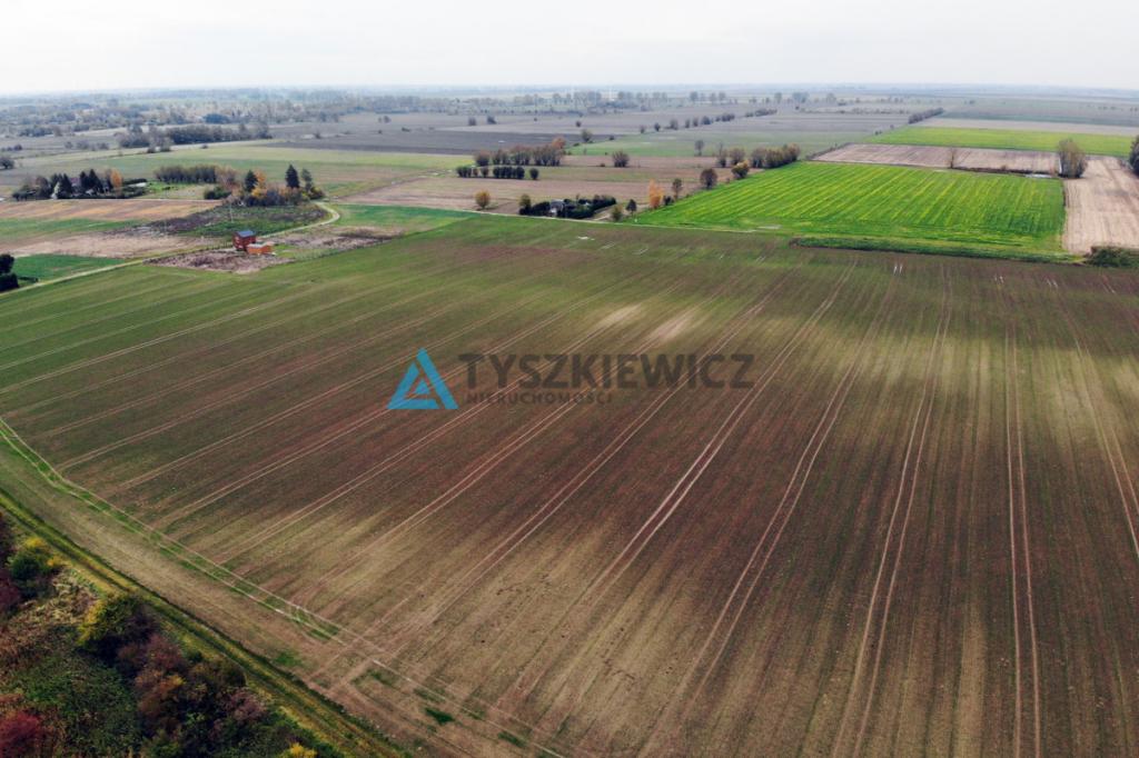 Piękna działka koło rzeki Szkarpawa - zdjęcie 6