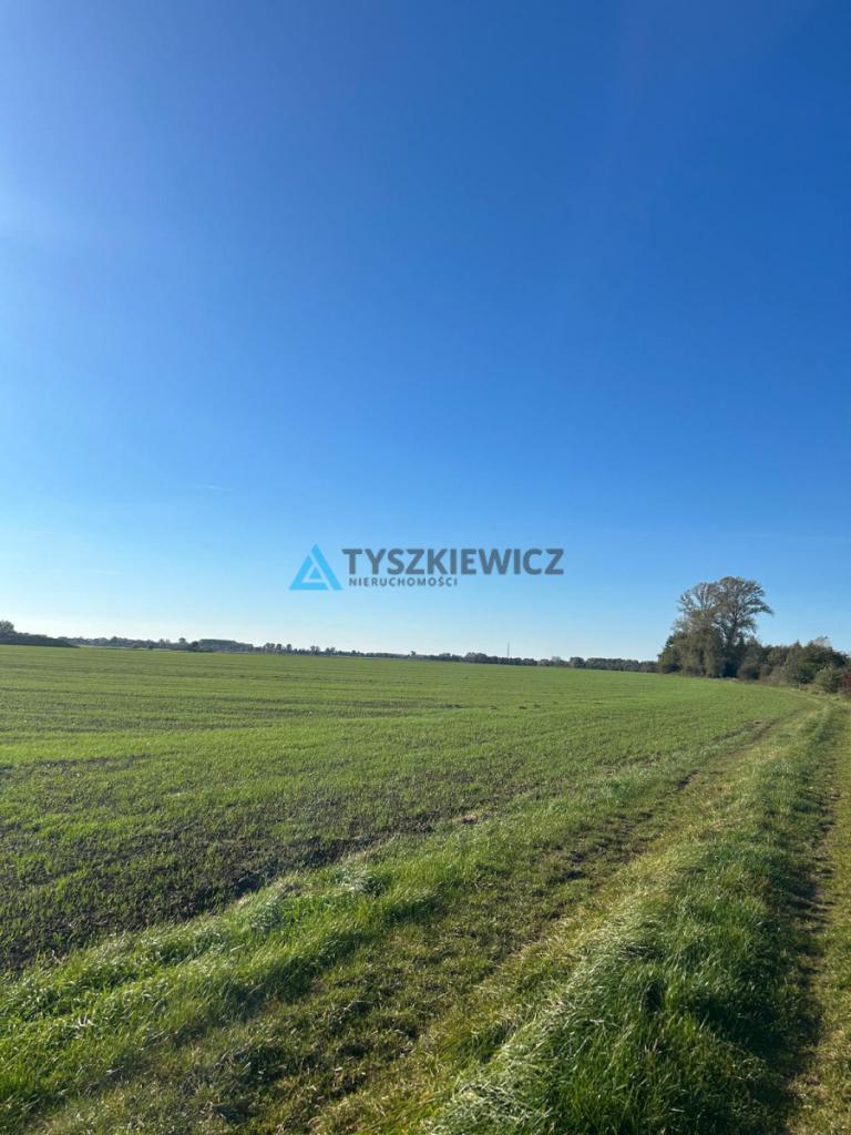 Piękna działka koło rzeki Szkarpawa - zdjęcie 13