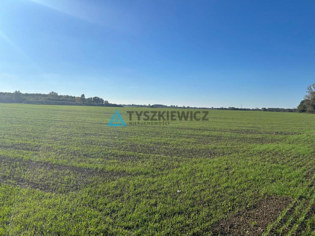 Piękna działka koło rzeki Szkarpawa - zdjęcie 14