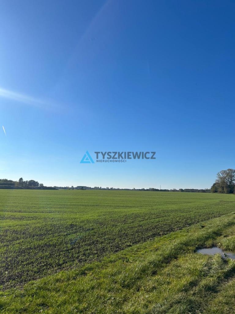 Piękna działka koło rzeki Szkarpawa - zdjęcie 10