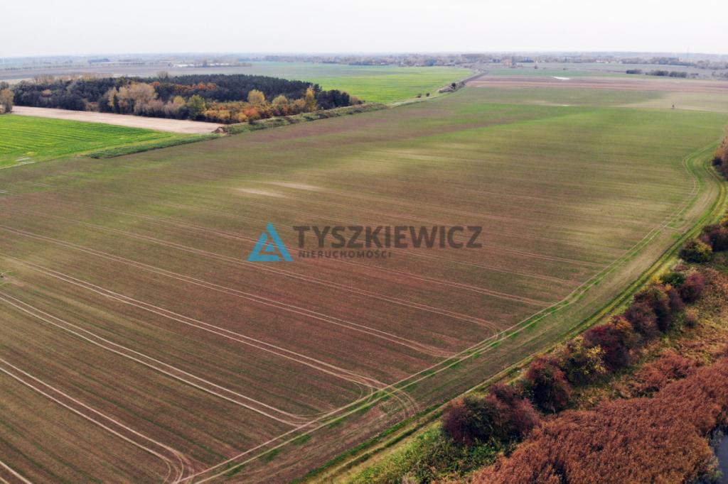 Piękna działka koło rzeki Szkarpawa - zdjęcie 4