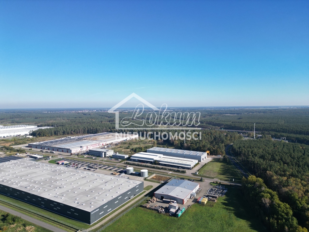 Działka inwestycyjna 5073&nbsp;m², Łozienica - zdjęcie 7