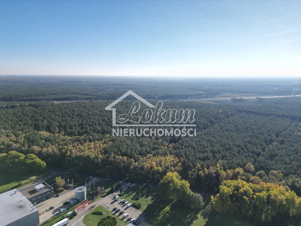 Działka inwestycyjna 5073&nbsp;m², Łozienica - zdjęcie 5
