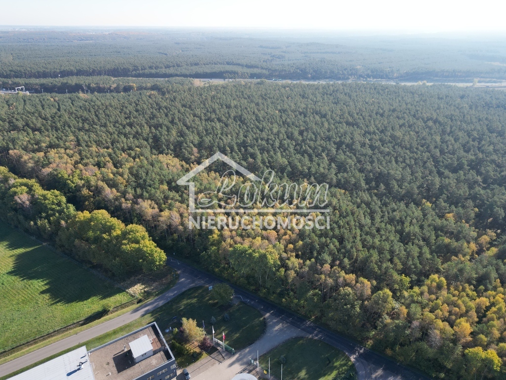 Działka inwestycyjna 5073&nbsp;m², Łozienica - zdjęcie 6