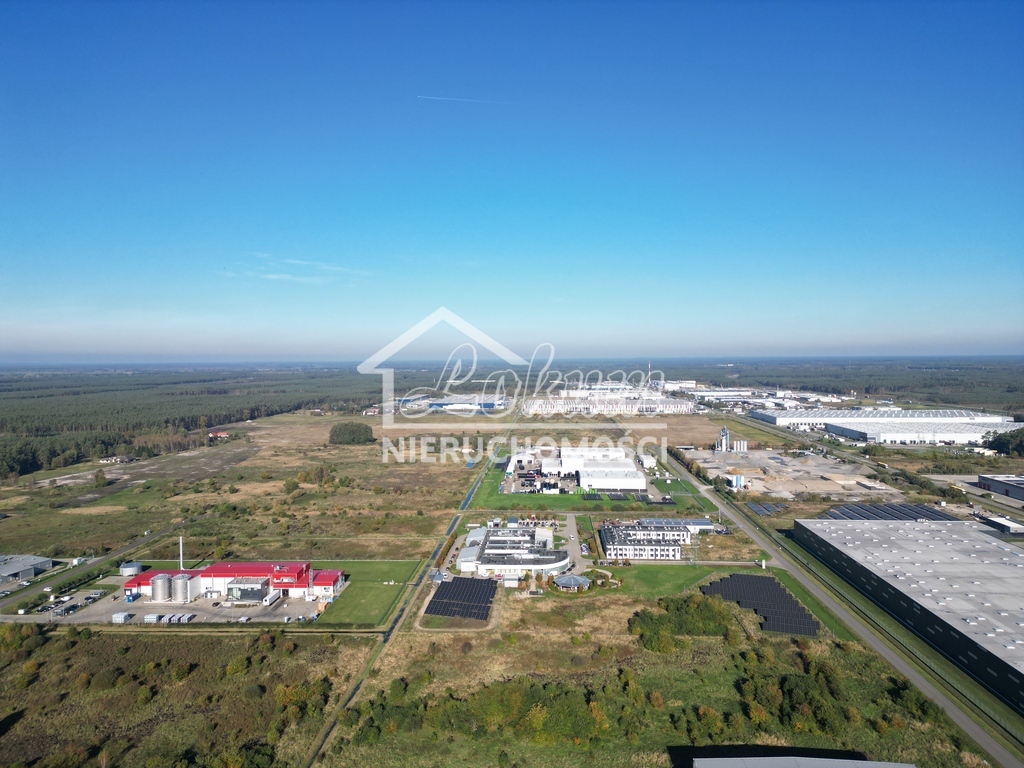 Działka inwestycyjna 5073&nbsp;m², Łozienica - zdjęcie 8